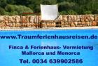 Fincas Mallorca mieten Ferienhaus mieten